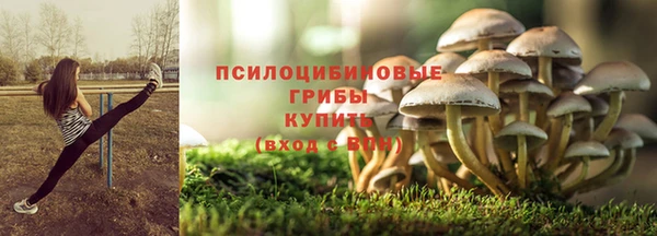 бутират Осташков