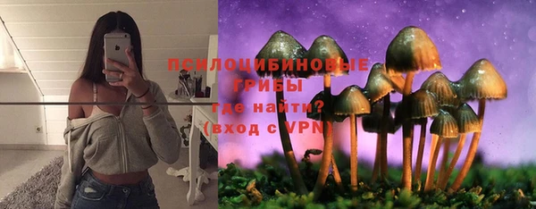 метадон Осинники