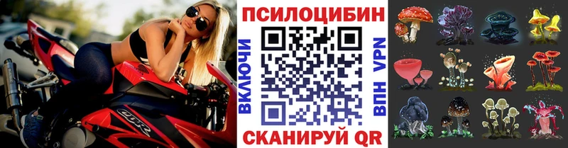 Псилоцибиновые грибы MAGIC MUSHROOMS  маркетплейс как зайти  Таруса 