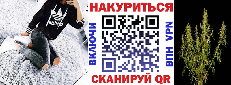 Бошки Шишки планчик  Таруса 